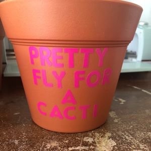 6 inch plastic pot